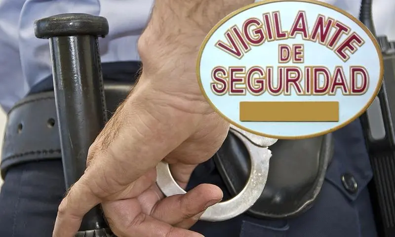 Vigilante de Seguridad